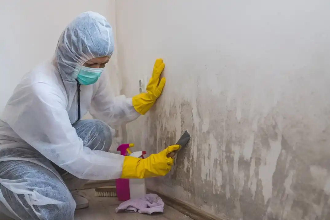 water damage restoration service Benbrook Lakeside